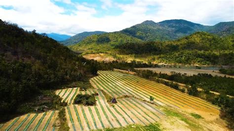 Countryside View 的图像结果