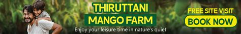 Mango Farmland | Mango Farmland For Sale - M/S Holidaysfarm