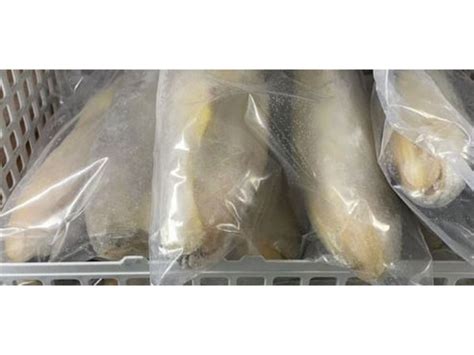 40 per cent of China-imported fish containing banned drug retrieved in ...