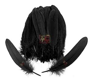 TIPTOP DECORATION Natural Dyed Goose Feathers Quills (10 Pieces) (15-20 ...