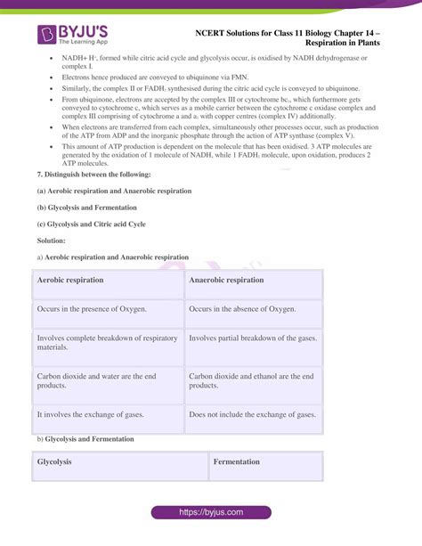 Biology 12 Chp 14 Respiration Part 2 Respiratory
