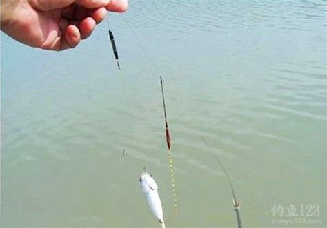 钓鱼调漂的正确方法 - 钓技 - 酷钓鱼