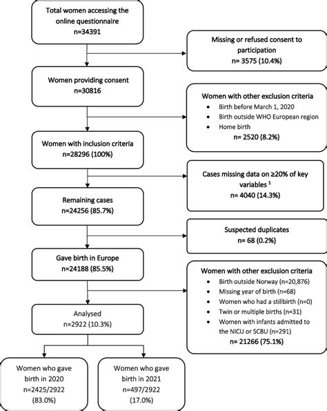 Image result for A Flowchart That Show the Process of Conception