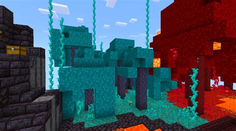 Image result for Nether One Block