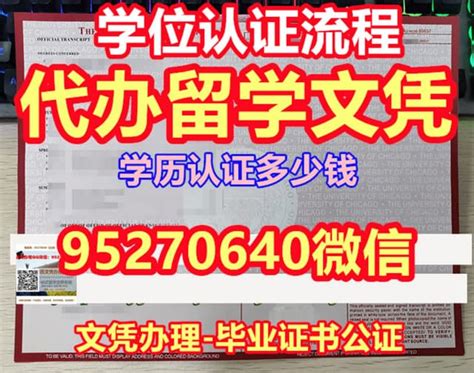 广西中学被曝发假成绩单骗家长 教育局称理解|假成绩单|蒙骗_新浪新闻