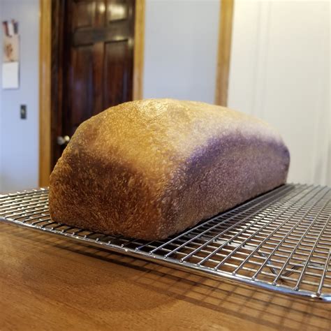 29 | January | 2020 | Tiffany's Bread and Breakfast