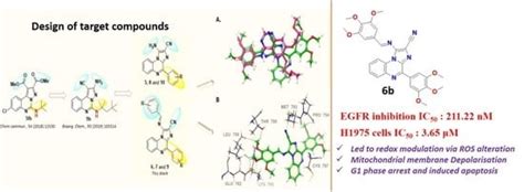 Design and Synthesis of Non-Covalent Imidazo[1,2-a]quinoxaline-Based ...