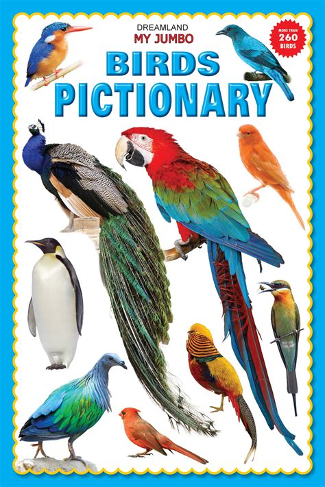 JoGenii |My Jumbo Birds Pictionary | Dreamland Publications