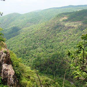 The Best Simlipal National Park Lodges 2024 - Tripadvisor