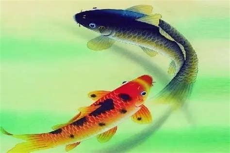 梦见红鲤鱼是什么意思 女人梦到红鲤鱼在水里游有什么预兆 - 致富热