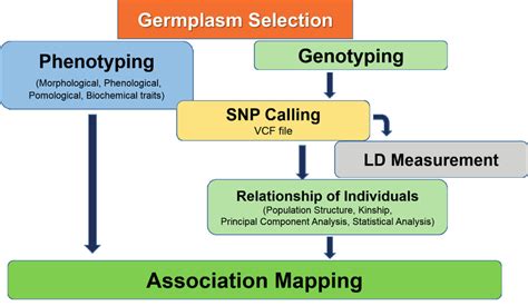 Image result for Association Mapping Applications