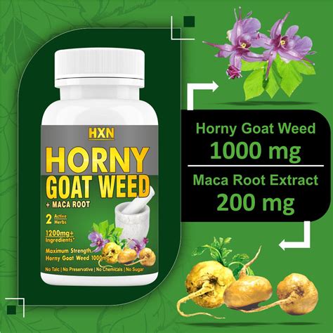 HXN Horny Goat Weed For Men With Maca Root Powder Extract – Immunescience