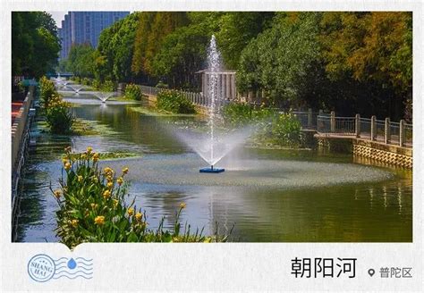 河道变脸 清水常驻 崇福镇持续推进美丽城镇建设“环境美”——浙江在线
