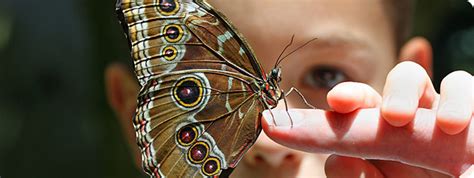 International Reserach Based Journals