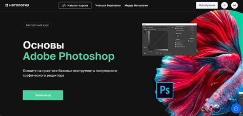 Бесплатные курсы по фотошопу - лучшие онлайн-курсы для изучения ...