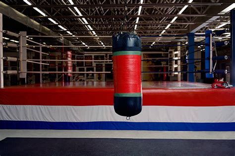 Famous Boxing Gyms 的图像结果