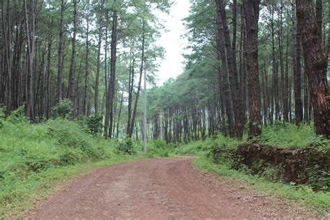 GOGODADDY BURMA (2025) All You Need to Know BEFORE You Go (with Photos ...