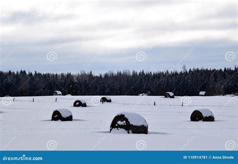 Image result for Haystack First Day