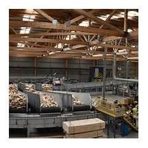 red stag timber owner wife Android IOS V- 4.23