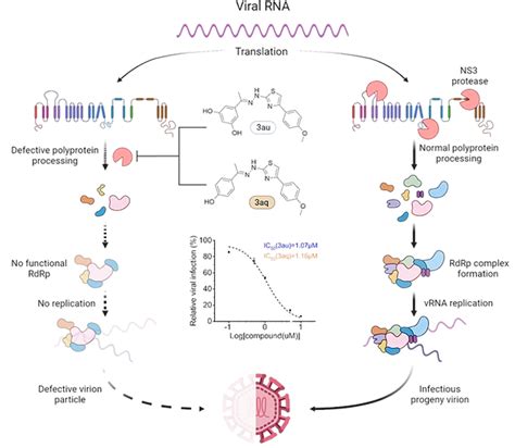 Vaccines and Antivirals | IITkgpAMlab