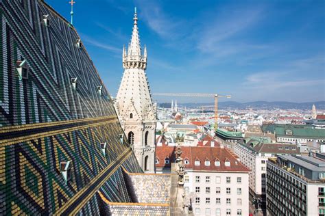 What Is A Vienna at Ann Kennedy blog