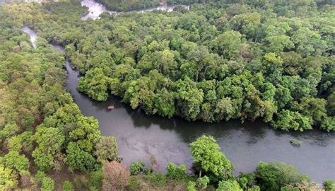 8 Best National Parks In Karnataka For Thrilling Vacay In 2025!