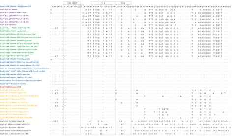A Survey of Recent Adenoviral Respiratory Pathogens in Hong Kong ...