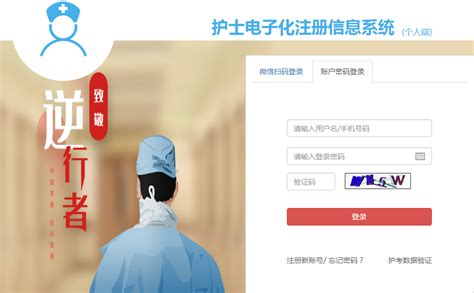 护士电子注册登录入口_北京华图
