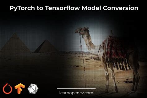 Convert Tensor Flow 1 to Pytorch 的图像结果