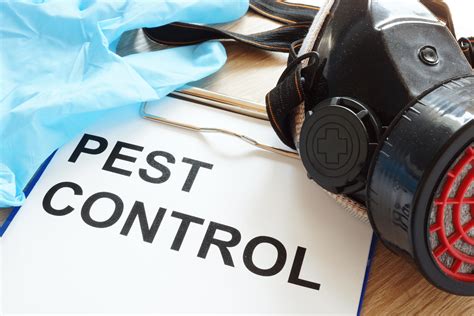 Pest Control Solutions – Pest Management Capital to Coast