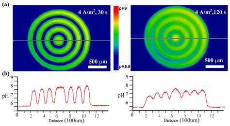 Sensors | Special Issue : Opto-Microfluidics for Bio Applications