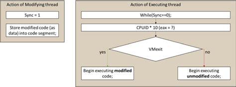 Image result for Virtual Machine Detection