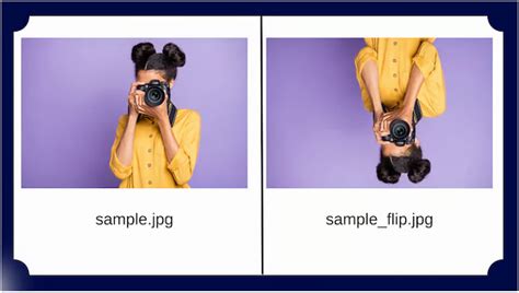 Image result for 3D Image Processing Python