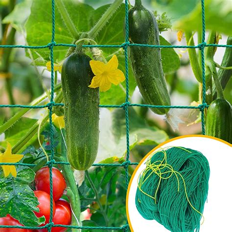 WNE Jaliwale Plant Climbing net & Creeper Net & Plant Trellis Net Plant ...
