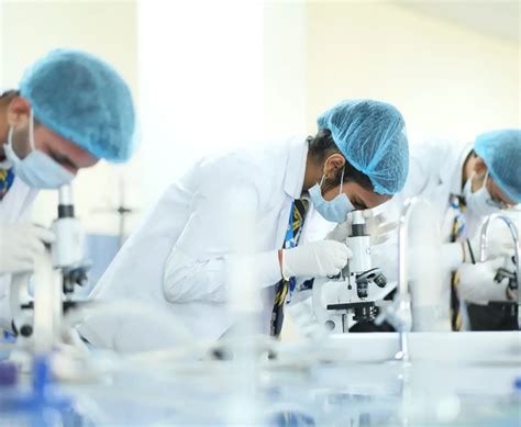 Top Researchers of COER University