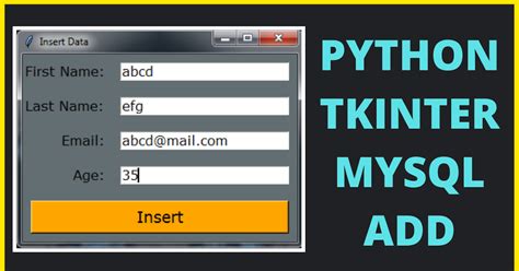 Image result for Python Tkinter Insert