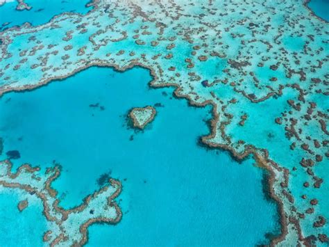 UNESCO removes Australia's Great Barrier Reef from the danger list ...