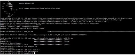Image result for Snowsql Batch File Example