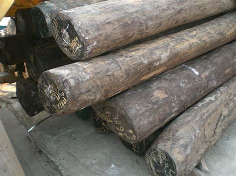 木材鉴别：绿檀木和玉檀木非同一树种_木业技术中心_中国木业信息网