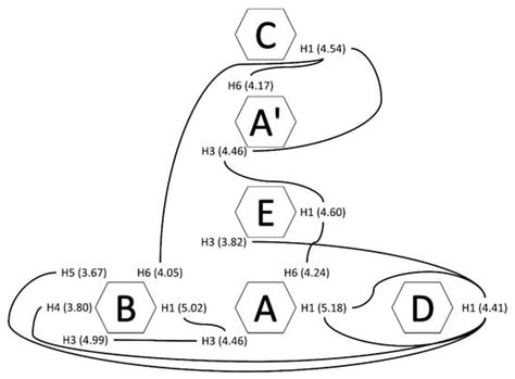 Isolation and Characterization of Polysaccharides from the Ascidian ...