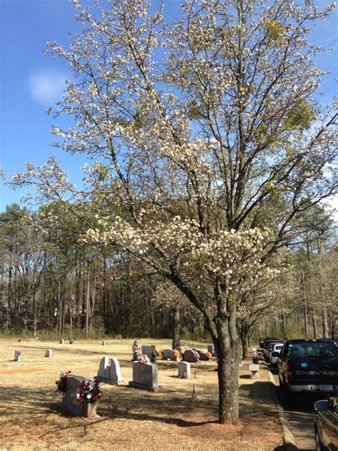 Winkenhofer Pine Ridge Funeral Home - Kennesaw, GA - Nextdoor