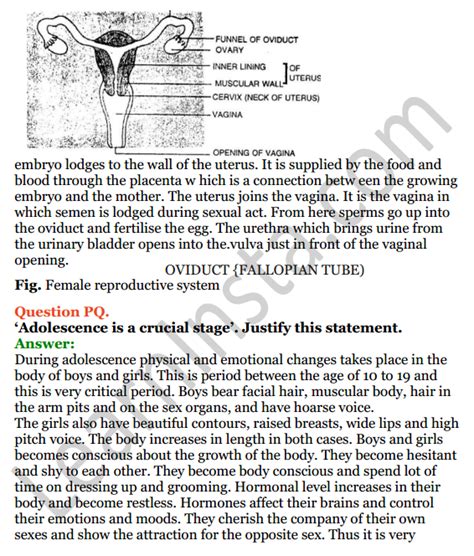 Image result for Reproduction in Humans Class 8 ICSE