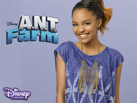 Ant Farm Fletcher 2022