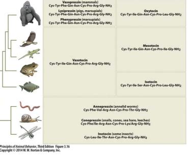 Image result for Patterns of Animal Behavior Enlish Notes