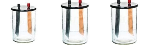 SIINC Simple voltaic cell : Amazon.in: Toys & Games