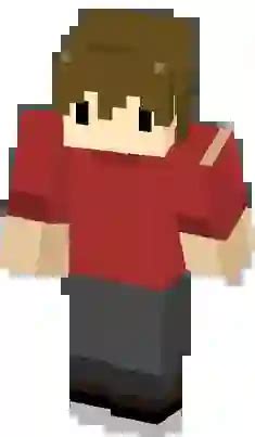 Image result for Minecraft Java Edition Skins