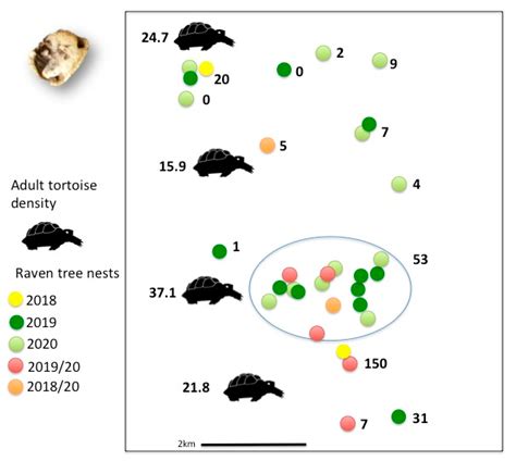 Influence of Habitat and Food Resource Availability on Common Raven ...