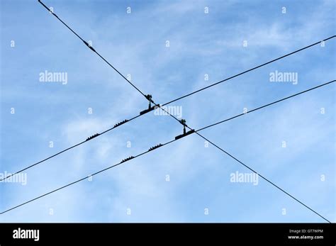 Image result for Real Life Examples of Intersecting Lines