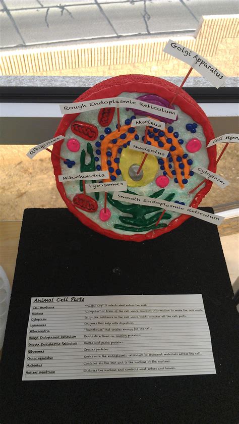 7th Grade Science Projects 的图像结果