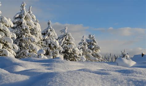 Adventure 的图像结果